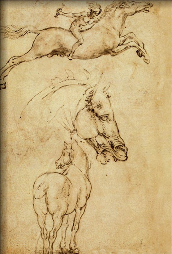 Sketch of a Horse By Leonardo Da Vinci